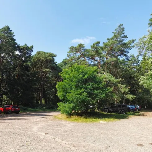 Ein Parkplatz in einem Waldgebiet, umgeben von hohen Bäumen. Einige Autos stehen geparkt auf einem schottrigen Boden.