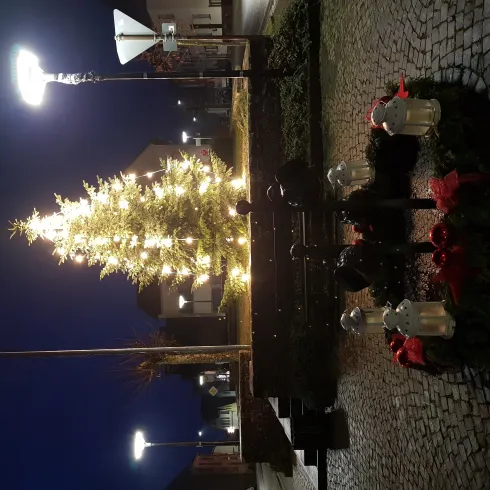 Weihnachtsbaum am Denkmal