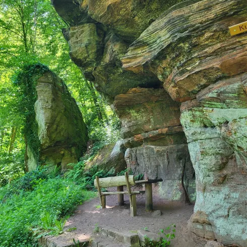 Eine beeindruckende Felsformation in einem Waldgebiet, umgeben von üppigem Grün. Im Vordergrund steht eine simple Holzbank, die zum Verweilen einlädt.