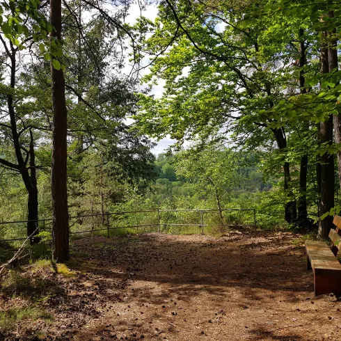 Aussichtspunkt Schwabfelsen