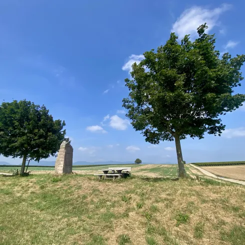Ein ländlicher Bereich mit zwei großen Bäumen und einer kleinen Sitzecke. Der Himmel ist klar und blau, im Hintergrund sind Felder zu sehen.