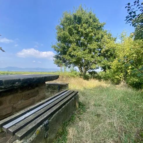 Eine ruhige Parklandschaft mit einer Steinbank und einem großen Baum. Im Hintergrund sind sanfte Hügel und ein klarer Himmel zu sehen.