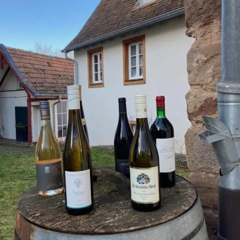 Weintasting (© Weingeniesserei)