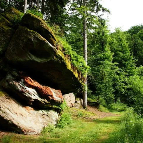 Wohnplatz Steinzeitmenschen
