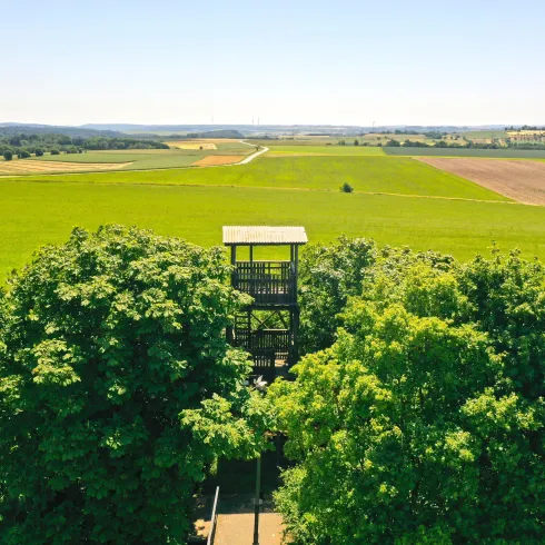 DJI_0506_proc kleiner