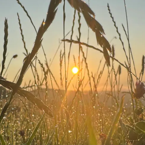 Konzert mit meditativer Musik (© Marion von Gienanth)