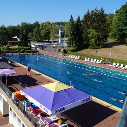 Ein Schwimmbad mit mehreren Schwimmern und Liegen am Rand. Umgeben von Bäumen und einer klaren blauen Wasseroberfläche.