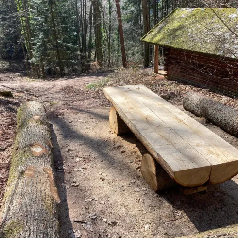Ein rustikaler Holztisch aus Baumstämmen im Wald. Im Hintergrund ist eine kleine Hütte und Holzstämme liegen auf dem Boden.
