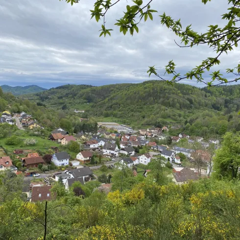 Eine malerische Aussicht auf ein kleines Dorf inmitten grüner Hügel. Der Himmel ist bewölkt, und die Landschaft ist von Bäumen und Wiesen umgeben.