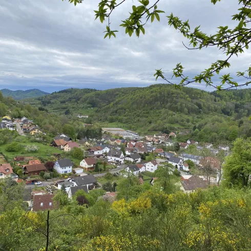 Ortsansicht (© Verein SÜW Annweiler e.V)