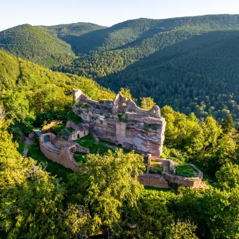 Burgruine Meistersel von oben (© Verein SÜW Annweiler e.V., Fotograf: Dominik Ketz)