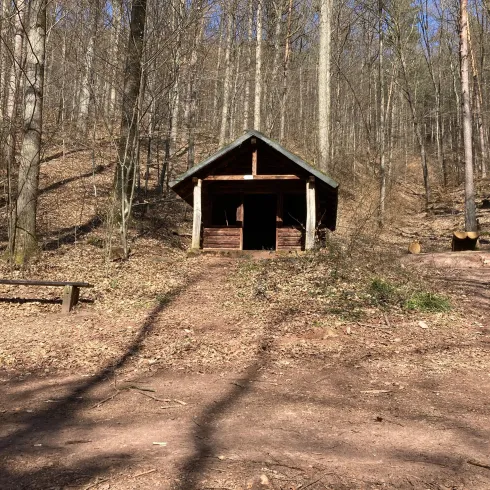 Eine kleine Hütte im Wald, umgeben von Bäumen und trockenem Laub. Der Boden ist naturbelassen und die Sonne scheint durch die Äste.