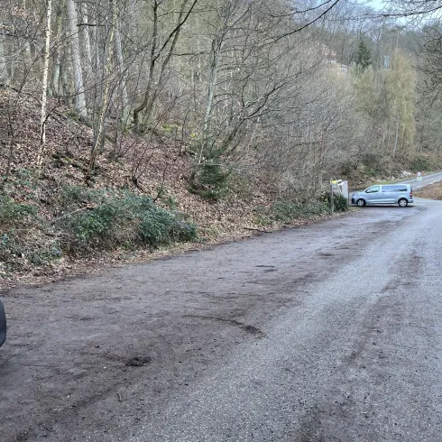 Ein schmaler Parkplatz am Waldesrand mit trockener Erde und einigen Autos. Im Hintergrund sind kahle Bäume zu sehen.