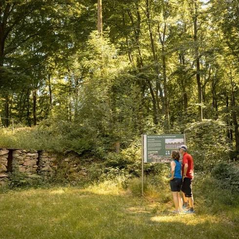Zwei Personen stehen in einem Wald und schauen sich ein Informationsschild an. Die Umgebung ist grün und sonnig, umgeben von hohen Bäumen.