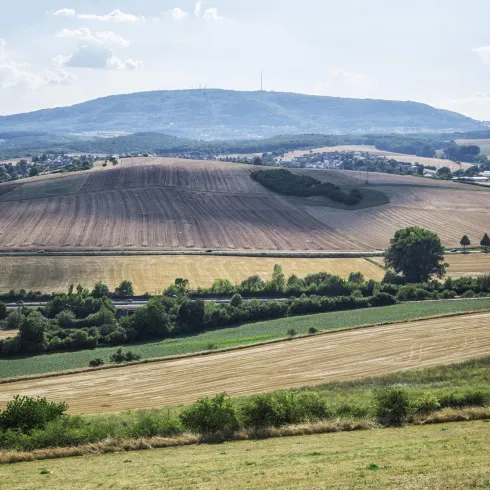 Eine malerische Landschaft mit sanften Hügeln und Feldern. Im Hintergrund ist ein Hügel und ein klarer Himmel zu sehen.