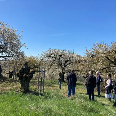 Eine Gruppe von Personen steht in einem blühenden Obstgarten unter blauem Himmel. Die Bäume sind mit weißen Blüten bedeckt und vermitteln eine fröhliche Frühlingsstimmung.