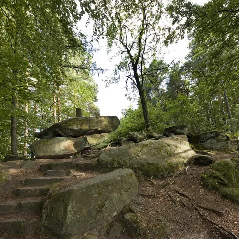 Eine ruhige Waldlandschaft mit großen Felsen und üppigem Grün. Ein schöner Pfad führt zu den Felsen in der Natur.
