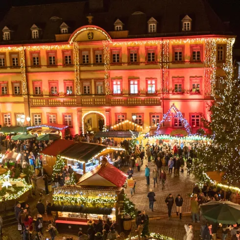 Ein festlicher Weihnachtsmarkt mit vielen Lichtern und Ständen. Im Hintergrund erstrahlt ein historisches Gebäude und ein großer Weihnachtsbaum.