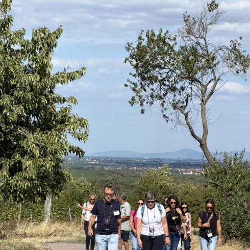Eine Gruppe von Menschen wandert auf einem Weg durch die Natur. Im Hintergrund sind Bäume und sanfte Hügel zu sehen.