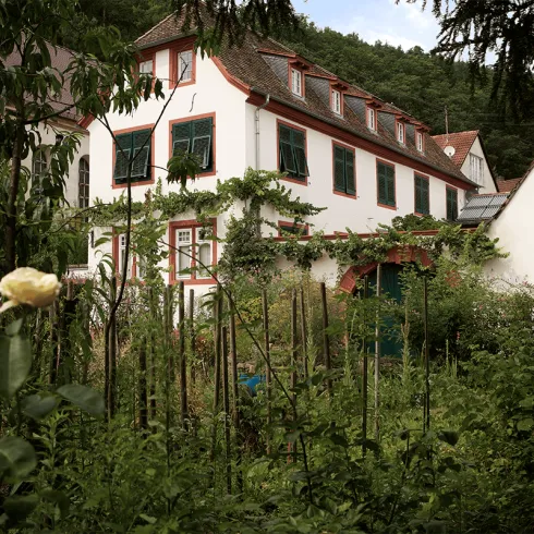 Ein charmantes, zweistöckiges Haus umgeben von üppigem Grün. Im Vordergrund blüht eine weiße Rose neben verschiedenen Pflanzen.