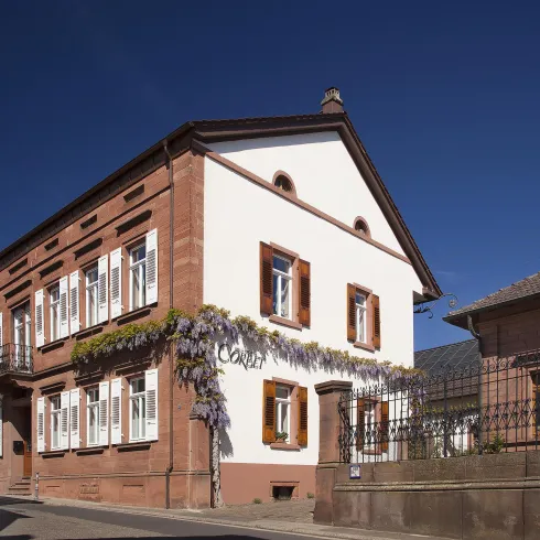 Ein charmantes, zweigeschossiges Haus mit weißen Wänden und roten Fensterrahmen. Vor dem Gebäude blühen lila Pflanzen und der Himmel ist klar und blau.