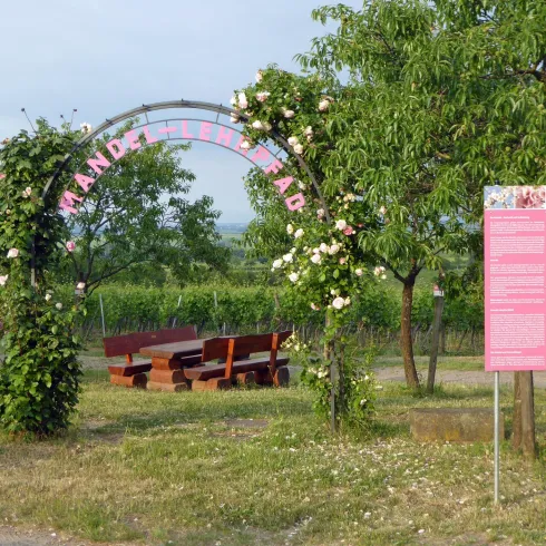 Mandellehrpfad (© Reinhard Kermann)