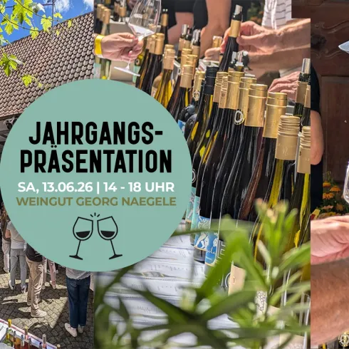 Eine Weinpräsentation im Freien mit vielen Gästen, die Weine verkosten. Die Veranstaltung findet im Weinberg Georg Nägele statt.