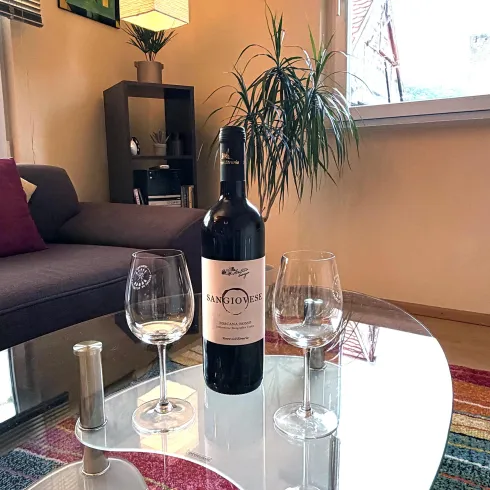Ein gemütlicher Wohnraum mit einem Tisch, auf dem eine Flasche Wein und zwei Weingläser stehen. Im Hintergrund sind eine Pflanze und ein Fenster sichtbar.