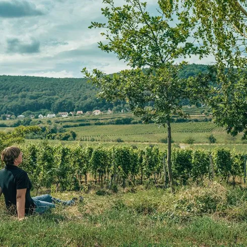Eine Person sitzt entspannt im Grünen und schaut auf eine malerische Landschaft mit Weinreben. Im Hintergrund sind sanfte Hügel und ein kleiner Ort zu sehen.