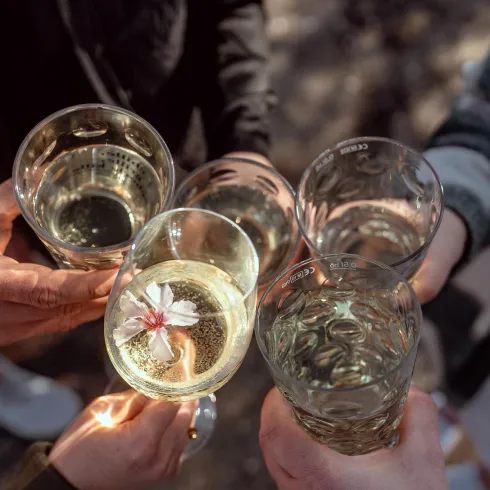 Eine Gruppe von Menschen hält Gläser mit Getränken. In einem Glas schwimmt eine Blume.