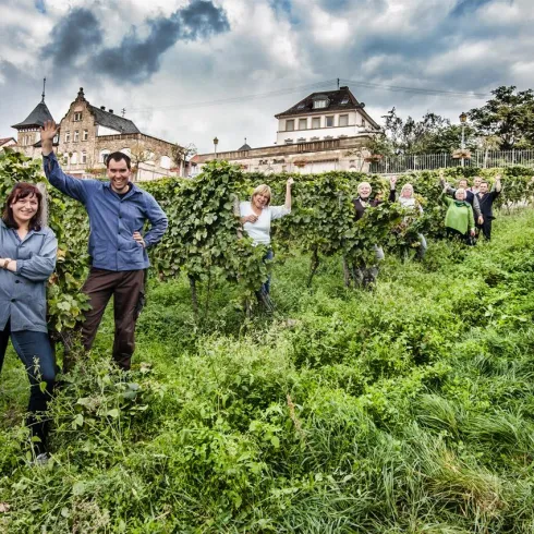 Eine Gruppe von Menschen steht zwischen Weinreben in einer malerischen Landschaft. Im Hintergrund sind historische Gebäude und ein bewölkter Himmel zu sehen.