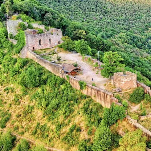 Luftansicht auf die Burgruine Wolfsburg