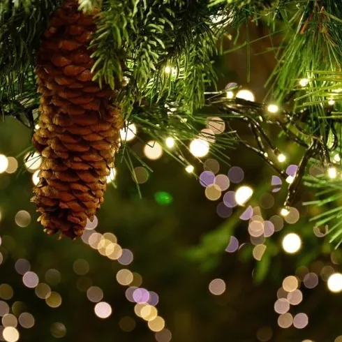 Eine Tannenzapfen hängt an grünen Ästen, umgeben von leuchtenden Lichtern. Der Hintergrund ist mit bunten, unscharfen Lichtern dekoriert.