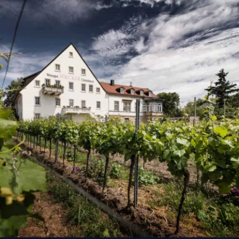 Weingut und Gästehaus