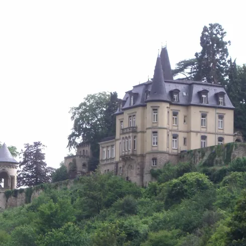 Ein elegantes Schloss auf einem Hügel, umgeben von Bäumen und Grün. Der Himmel ist bewölkt und verleiht der Szene eine mystische Atmosphäre.