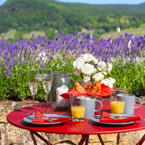 Ein roter Tisch mit Frühstücksgeschirr steht inmitten von Lavendelfeldern. Im Hintergrund sind sanfte Hügel zu sehen.