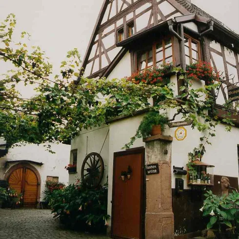 Ansicht ©Weingut Gutting