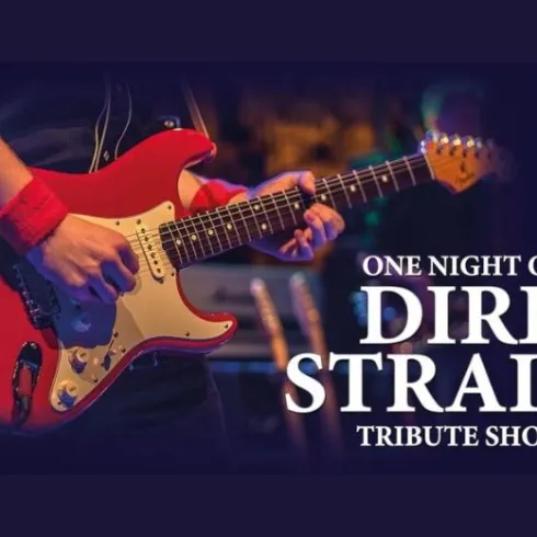 Ein Musiker spielt E-Gitarre bei einer Tribute-Show für Dire Straits. Die Atmosphäre ist lebhaft und musikalisch.