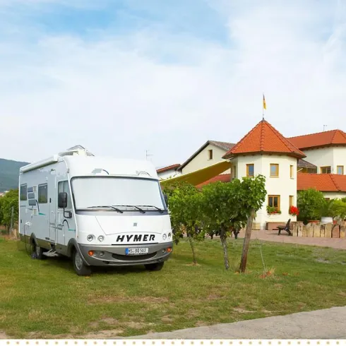 Ein Wohnmobil steht auf einer Wiese neben einem Gebäude inmitten von Weinreben. Der Himmel ist klar und die Landschaft wirkt einladend.