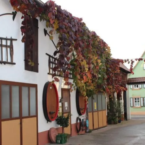 Eine malerische Gasse mit bunten Gebäuden und üppiger Pflanzenbewuchs. Die Fassaden sind mit Weinreben geschmückt, die eine gemütliche Atmosphäre schaffen.