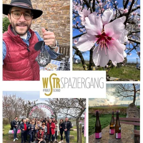 WSTR_Erlebnisspaziergang in Rosa_1