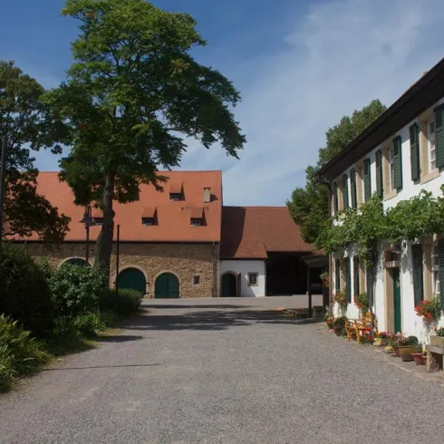 Ein malerischer Bauernhof mit einem gepflasterten Hof und historischen Gebäuden. Grüne Bäume und Sträucher sorgen für eine ländliche Atmosphäre.