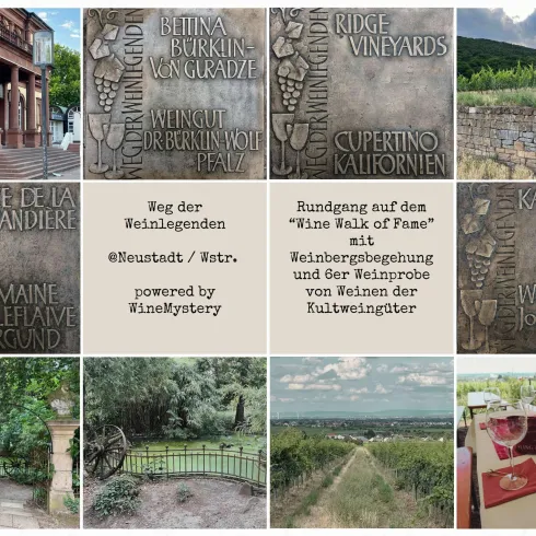 Eine Collage mit verschiedenen Weinbau-Elementen, darunter Weinberg-Schilder und landschaftliche Ansichten. Die Bilder zeigen Details aus der Weinregion sowie den "Wine Walk of Fame".