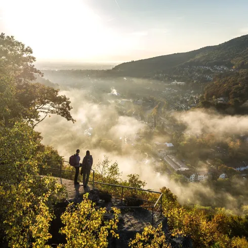 Blick von der Burgruine Wolfsburg Richtung Neustadt und Rheinebene