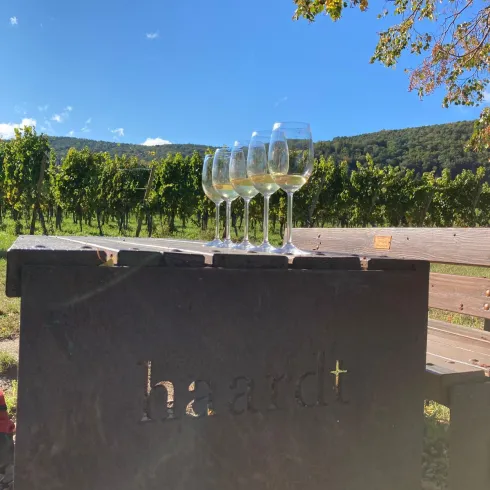 Ein Weinberg mit mehreren Gläsern auf einem Tisch. Im Hintergrund sind sanfte Hügel und ein strahlend blauer Himmel zu sehen.