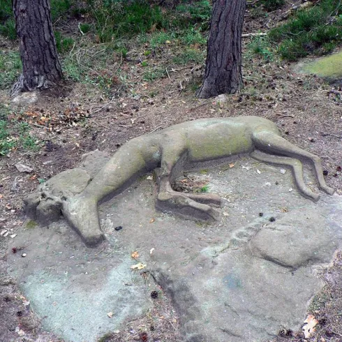 Eine einzigartige Steinformation, die die Form eines Tieres zeigt. Umgeben von Bäumen und Natur.