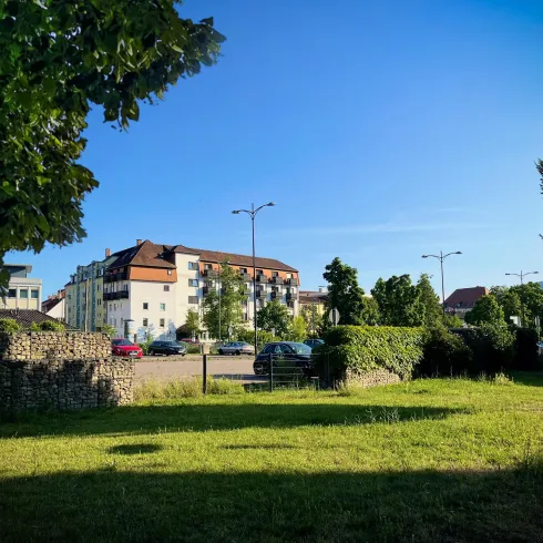 Eine grüne Wiese mit Bäumen und einem klaren blauen Himmel. Im Hintergrund sind Wohngebäude und Straßenlaternen zu sehen.