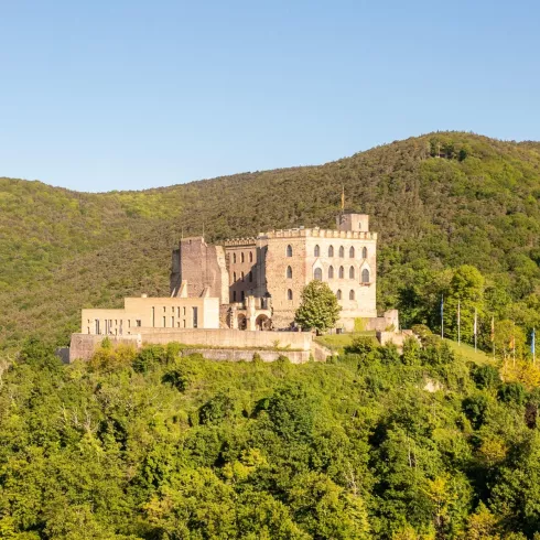 Hambacher Schloss -  Dominik Ketz (© Dominik Ketz)