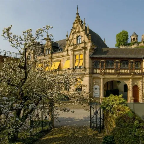 Weingut Müller-Catoir  (© WG Müller-Catoir)