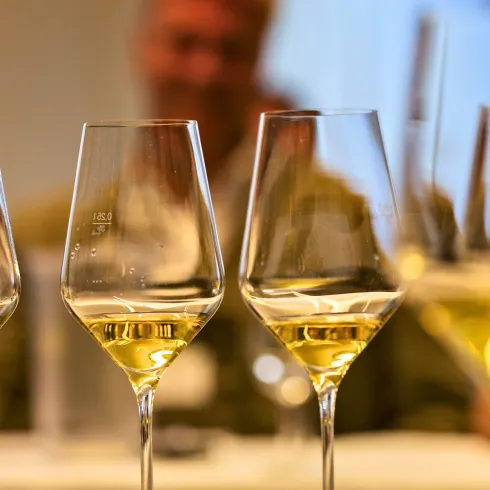 Ein Mensch gieß einen roséfarbenen Wein in mehrere Gläser. Die Gläser stoßen an und reflektieren das Licht.